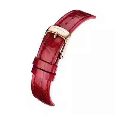 POSCER ins 50113L.REW