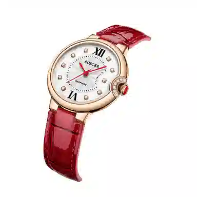 POSCER ins 50113L.REW