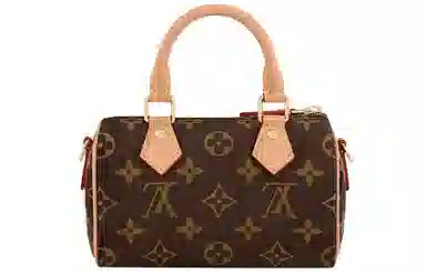 Louis Vuitton Speedy Nano