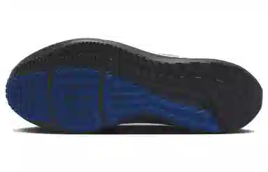 Nike Air Zoom Pegasus 40 Grey Blue