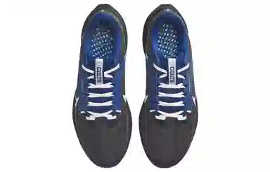 Nike Air Zoom Pegasus 40 Grey Blue