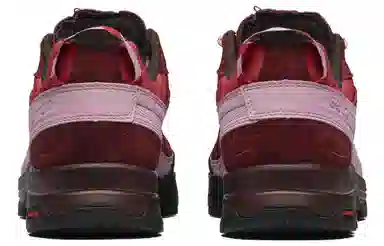 Salomon X-Alpages GTX