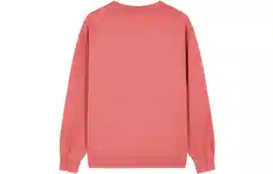 Champion FW23 Rochester Logo