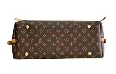 Louis Vuitton LV Carryall MM Brown
