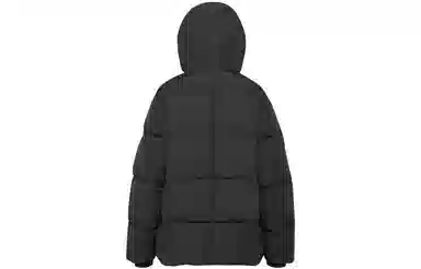 ARITZIA Babaton Crown Puffer