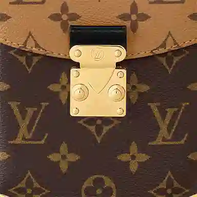 LOUIS VUITTON Camera