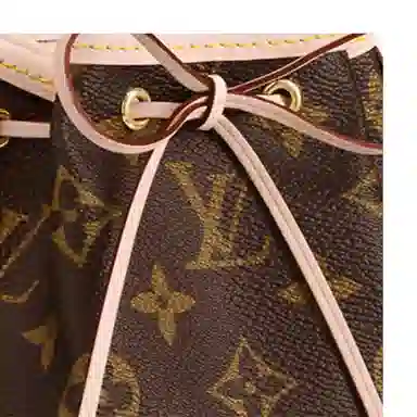 Louis Vuitton Noe Brown