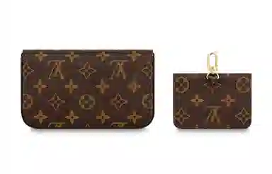 Louis Vuitton Multi Pochette Felicie