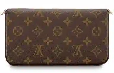 LOUIS VUITTON Felicie Pochette