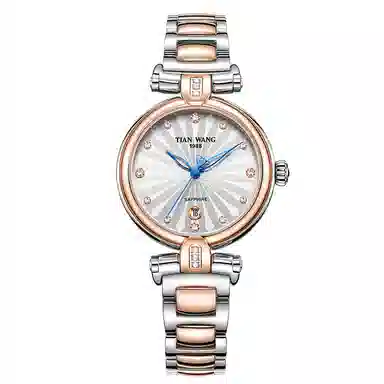 TIANWANG SHINE LS3981