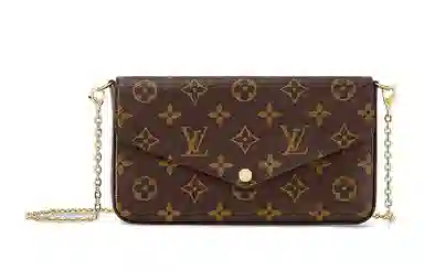 Louis Vuitton Pochette Félicie