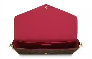 LOUIS VUITTON Felicie Pochette