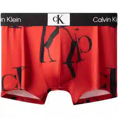 Calvin Klein FW23 CK96