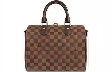 Louis Vuitton Speedy 25