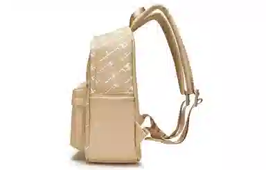 Champion Backpack