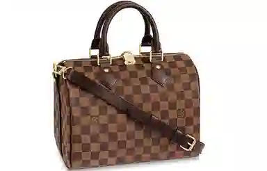 Louis Vuitton Speedy 25