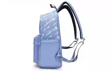 Champion Backpack