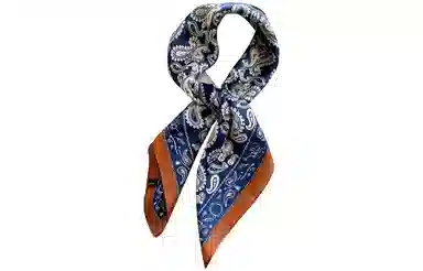 优幽兰 百搭时尚真丝发带发圈飘带小长条丝带搭配衬衫窄领巾韩版衬衣绑包包薄款法式穿搭礼盒装 丝巾 女款