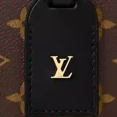 Louis Vuitton Petite Malle Souple