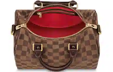 Louis Vuitton Speedy 25