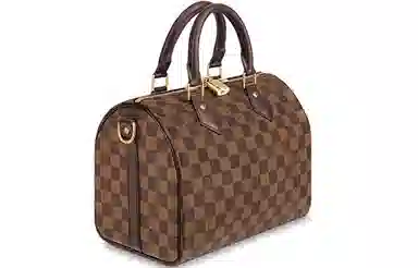 Louis Vuitton Speedy 25