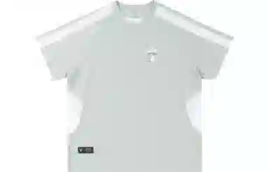 VEIDOORN x POKEMON logo T