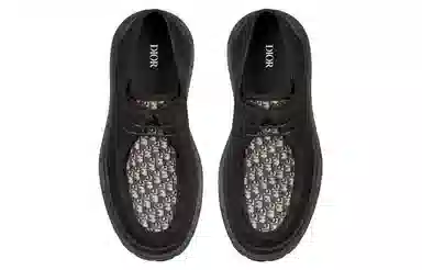 DIOR Dior Explorer