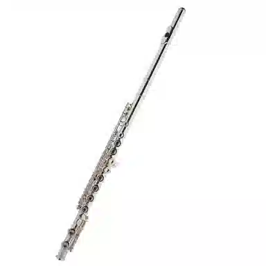 JINBAO (JINBAO) C JBFL-6248S