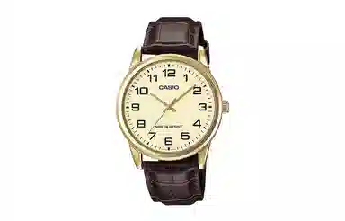 Casio Dress MTP-V001GL-9B LTP-V001GL-9B