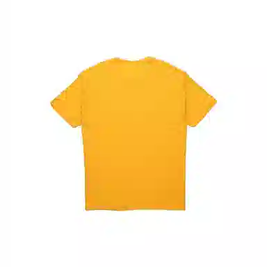 Champion T 2