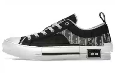DIOR B23