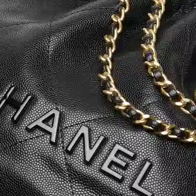 CHANEL 22Bag 23K