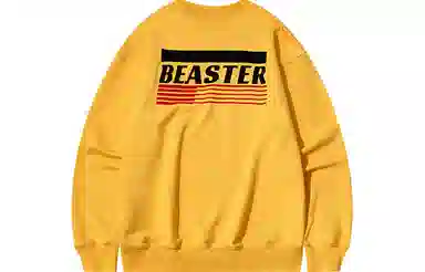 BEASTER cityboy