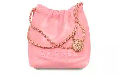 CHANEL 22Bag 23K