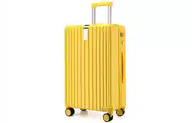 PAUL FRANK ABS+PC 20242628