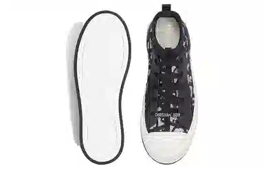 DIOR Walk'n'Dior