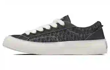 DIOR B33