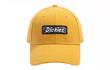 Dickies