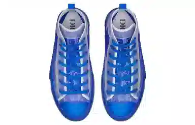 DIOR B23OBLIQUE