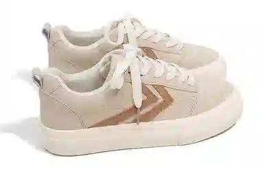 Feiyue