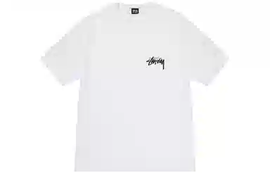 Stussy FW23 CLASSIC DOT TEE LogoT
