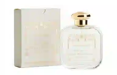 Santa Maria Novella EDC