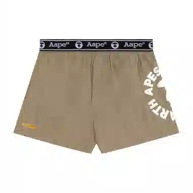 Aape 1