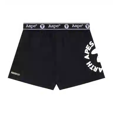 Aape 1