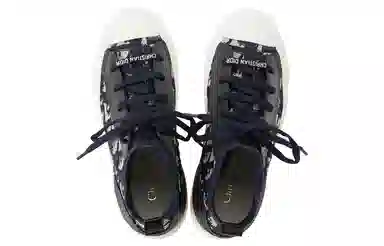 DIOR Walk'n'Dior