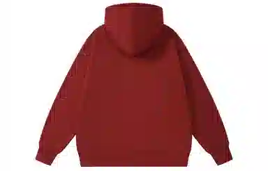 Kawasaki Logo Oversize