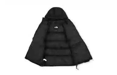 THE NORTH FACE Logo