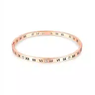 饰伴 纤细小腰罗马数字 双蝶戴高级设计感轻奢气质小众新款 手链 女款