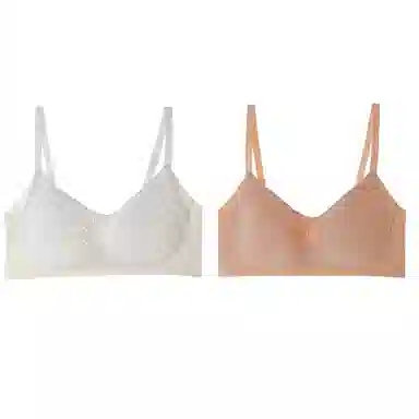 内在密码 两件装超薄款内衣女大胸显小胸全罩杯无痕聚拢收副乳显瘦透气文胸