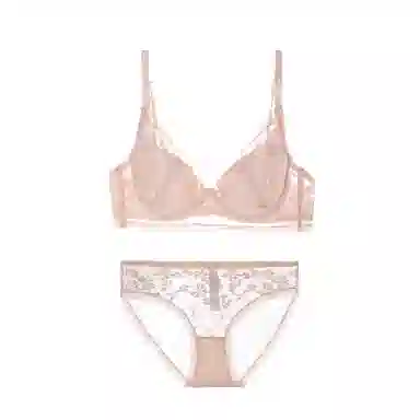 内在密码 大胸显小薄款聚拢内衣女法式蕾丝防下垂轻薄透气内衣裤套装